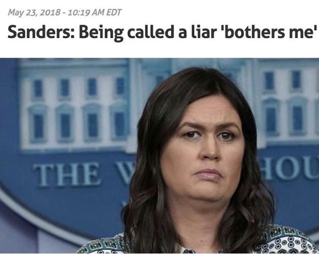 Sarah Huckabee Sanders Lips Plastic Surgery