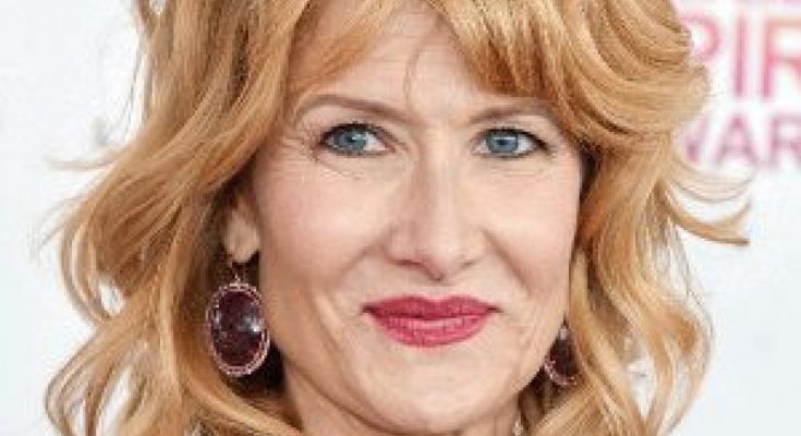 Laura Dern Plastic Surgery Nose Job Boob Job Botox Lips