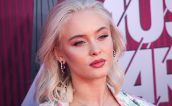 Zara Larsson Plastic Surgery Nose Job Boob Job Botox Lips