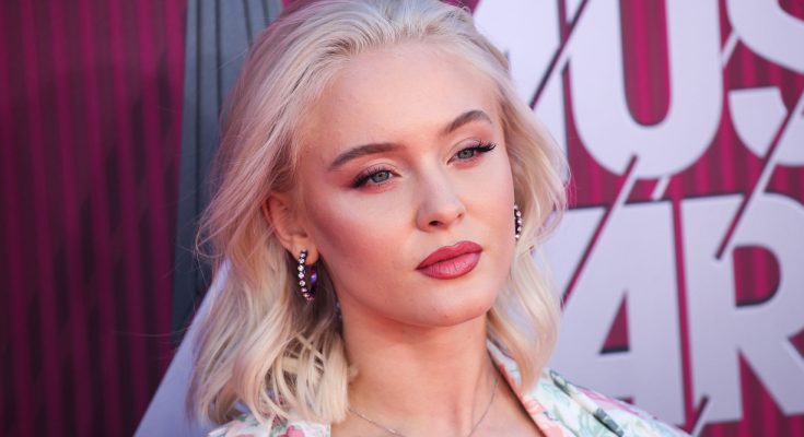 Zara Larsson Plastic Surgery Nose Job Boob Job Botox Lips