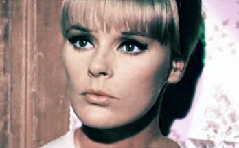 Elke Sommer Plastic Surgery