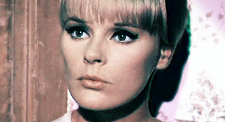 Elke Sommer Plastic Surgery