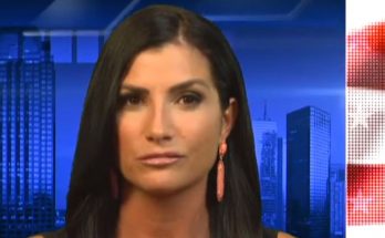 Dana Loesch Plastic Surgery and Body Measurements