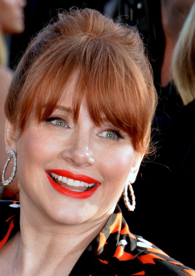 Bryce Dallas Howard Cosmetic Surgery Face