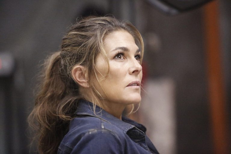 Paige Turco Plastic Surgery Face